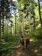 P5010080.JPG