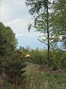 P5010088.JPG