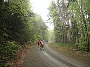 P5010107.JPG
