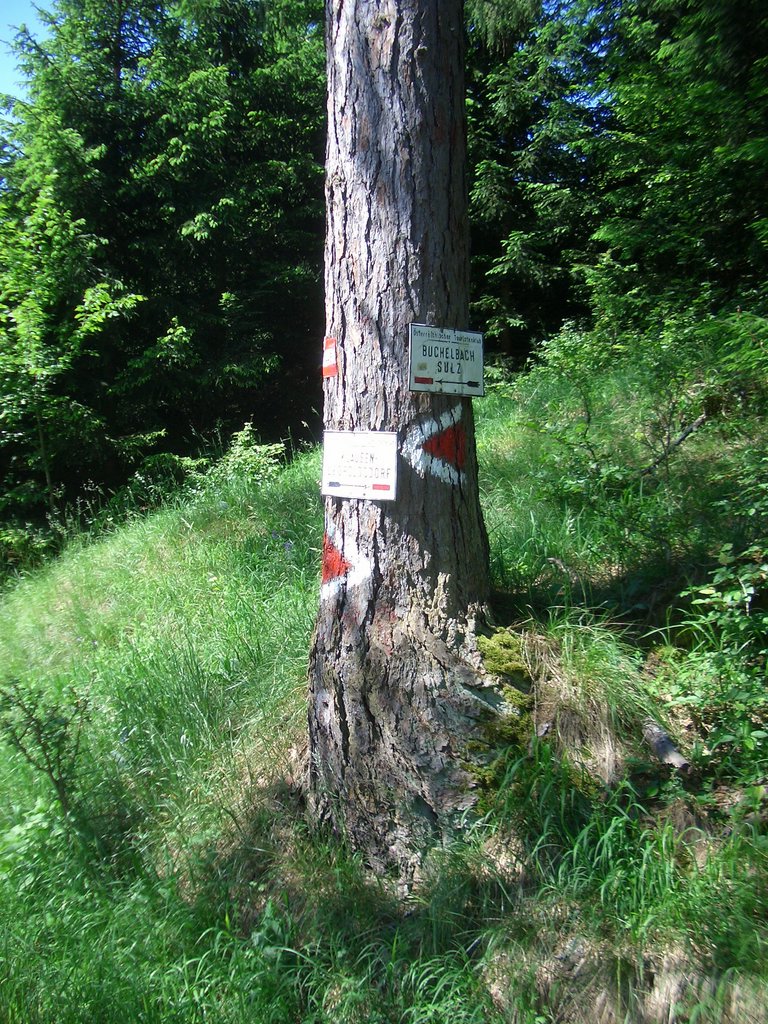 CIMG5183.JPG
