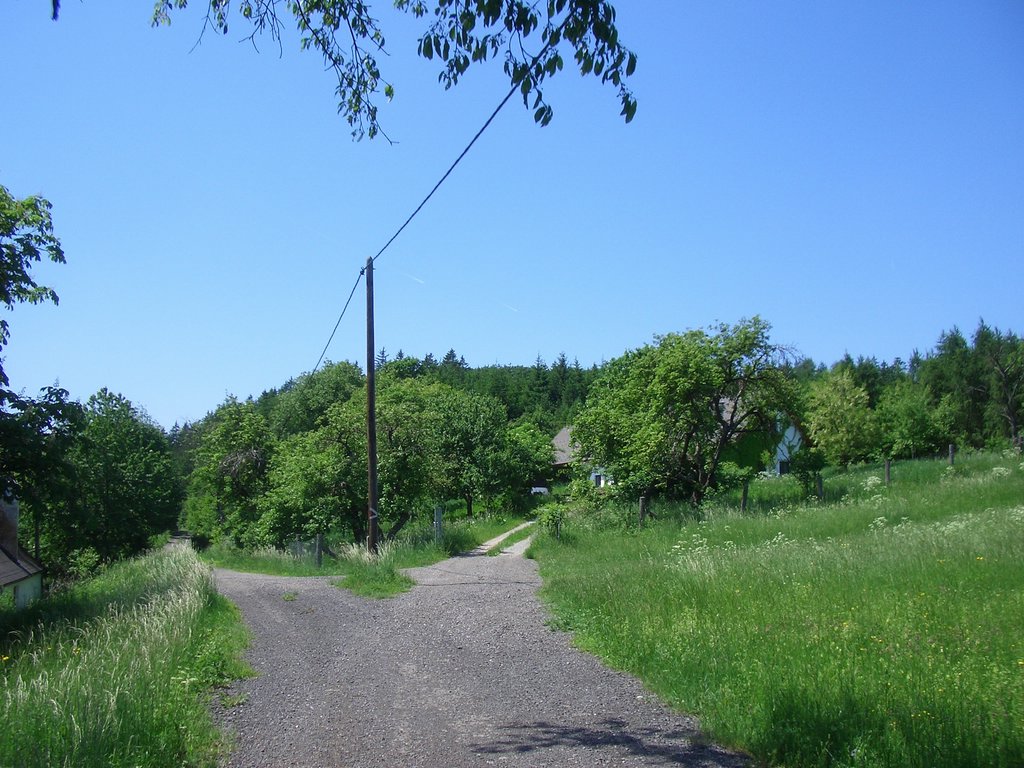 CIMG5203.JPG