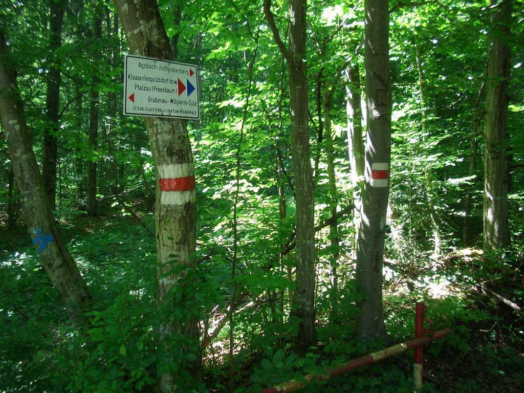 CIMG5212.JPG