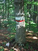 CIMG5177.JPG