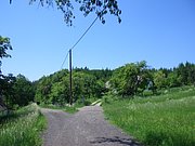 CIMG5203.JPG