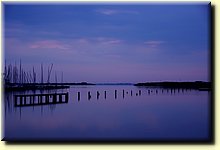 _IMG4183_mod.jpg