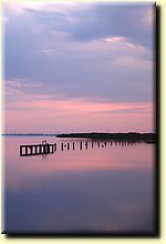 _IMG4215_mod.jpg