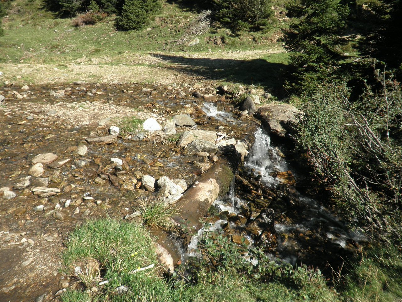 P9010006.JPG