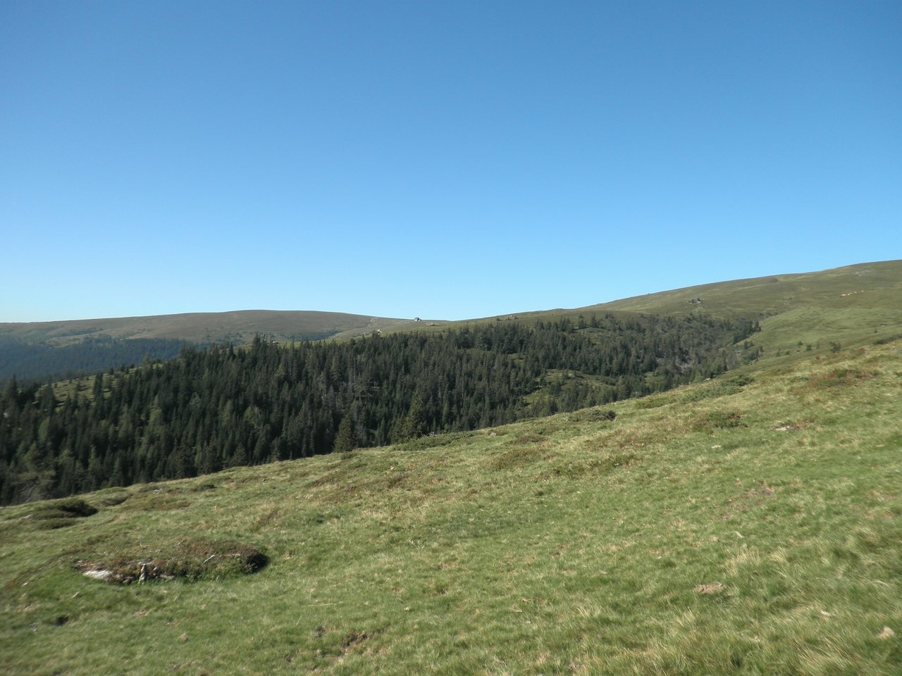 P9010011.JPG