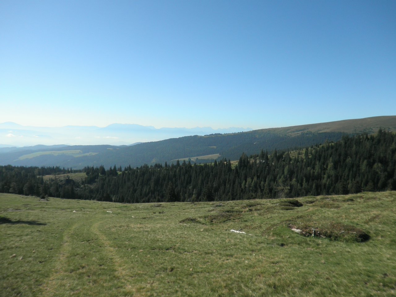 P9010012.JPG