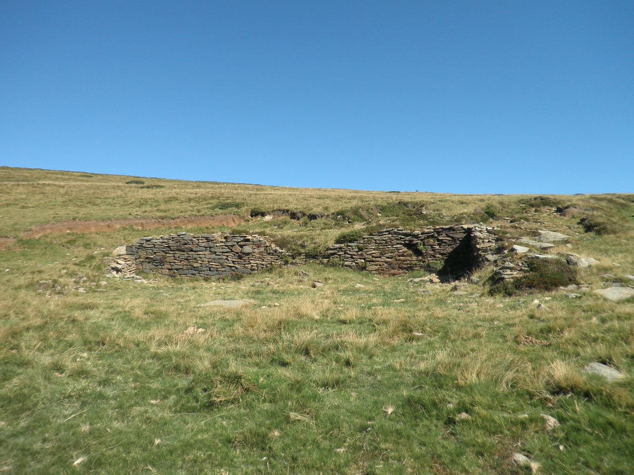 P9010014.JPG