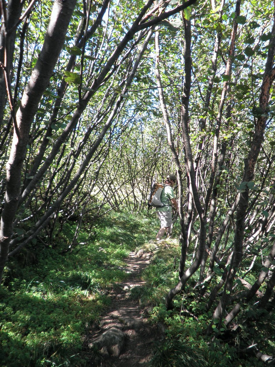 P9010030.JPG