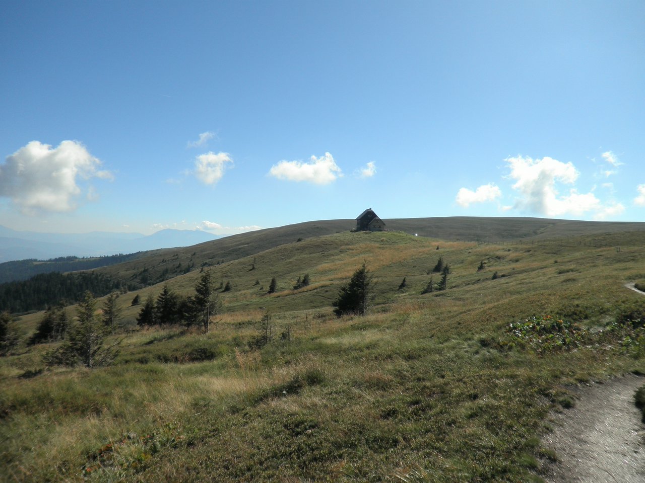 P9010104.JPG