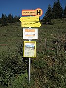 P9010001.JPG