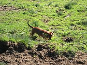 P9010003.JPG