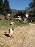 P9010004.JPG