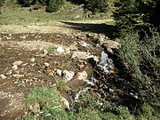 P9010006.JPG