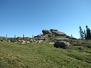 P9010009.JPG