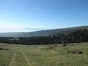 P9010012.JPG