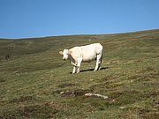 P9010013.JPG