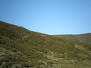 P9010023.JPG