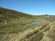P9010025.JPG