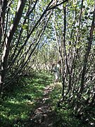 P9010030.JPG