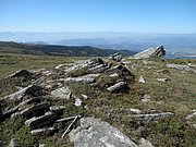 P9010040.JPG