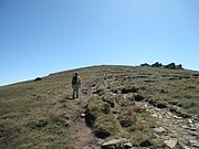 P9010056.JPG