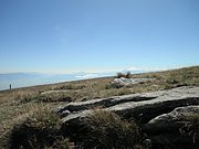 P9010067.JPG