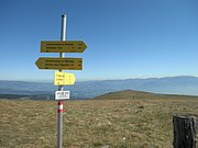 P9010069.JPG