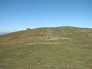 P9010076.JPG