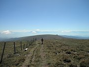 P9010080.JPG