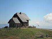 P9010090.JPG