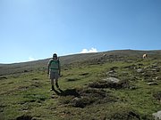 P9010105.JPG