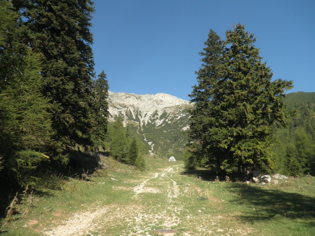 P9250006.JPG