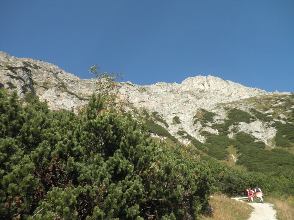P9250009.JPG
