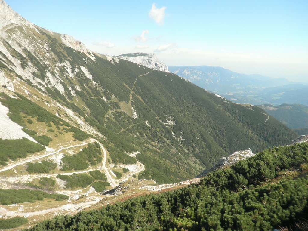 P9250011.JPG