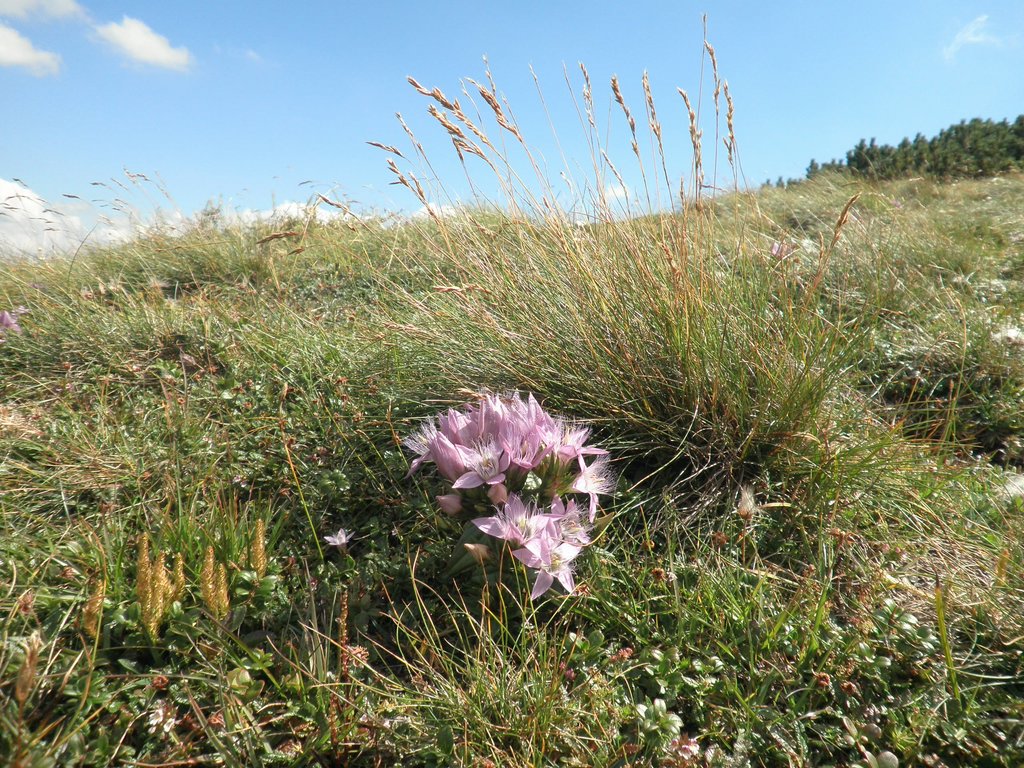 P8220043.JPG