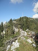 P8220008.JPG