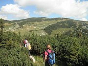 P8220020.JPG