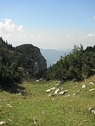 P8220025.JPG