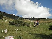 P8220026.JPG