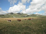 P8220032.JPG