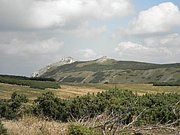 P8220033.JPG