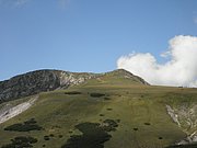 P8220036.JPG