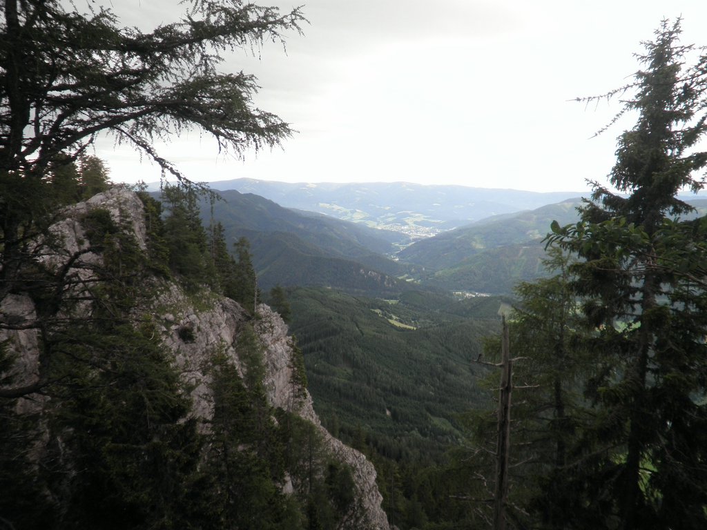 P6180007.JPG