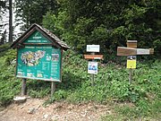 P6180002.JPG
