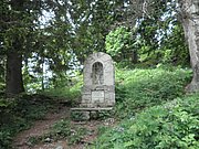 P6180003.JPG
