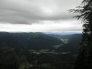 P6180005.JPG