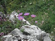 P6180008.JPG